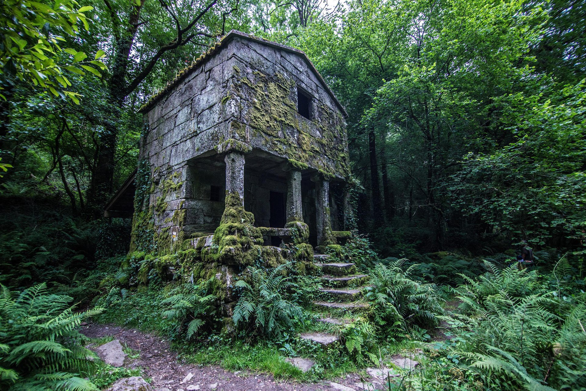 ciel forêt fourrés maison marches colonne