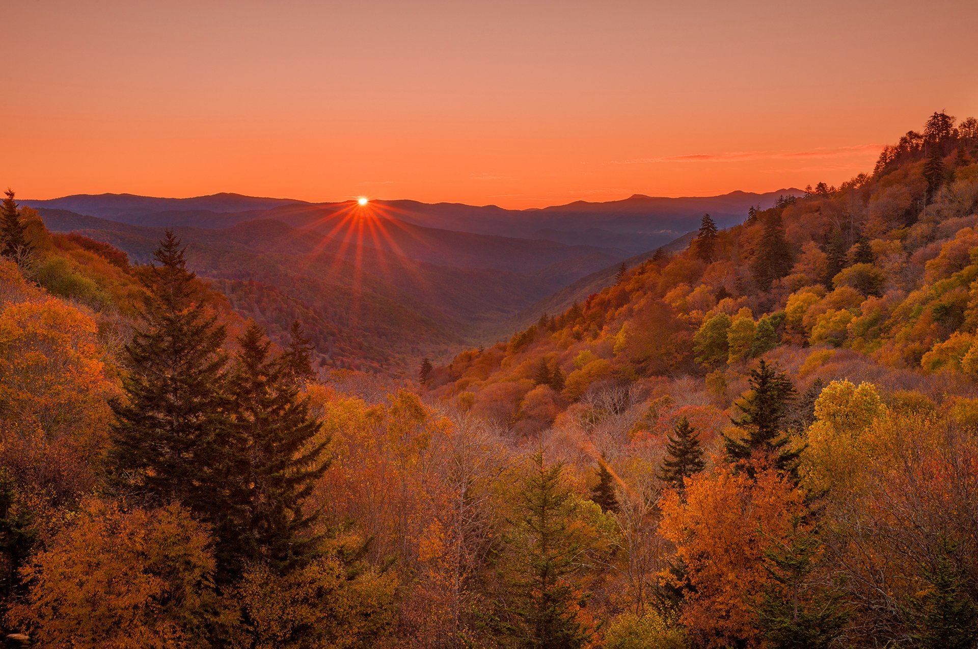 ciel coucher de soleil rayons montagnes forêt automne