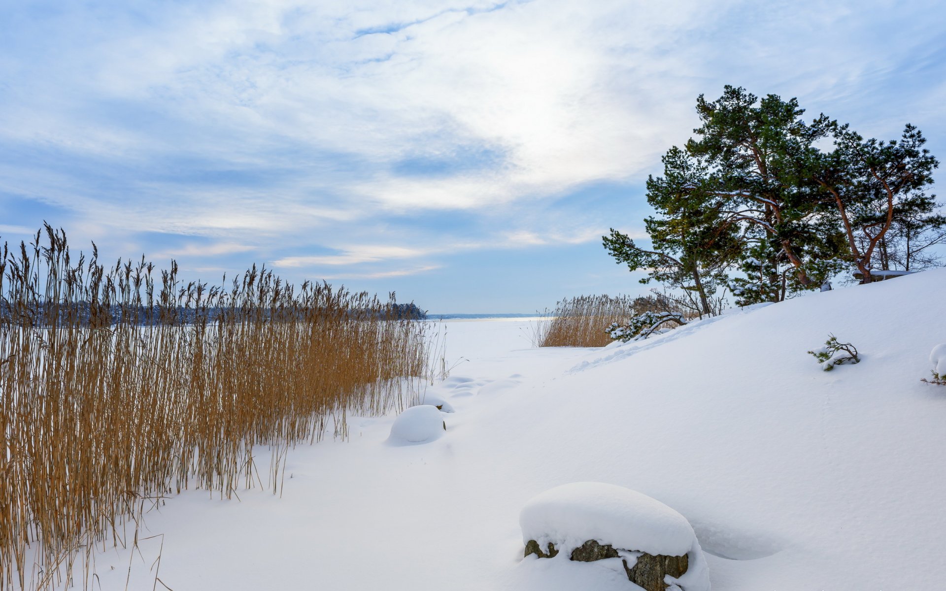 inverno neve canne