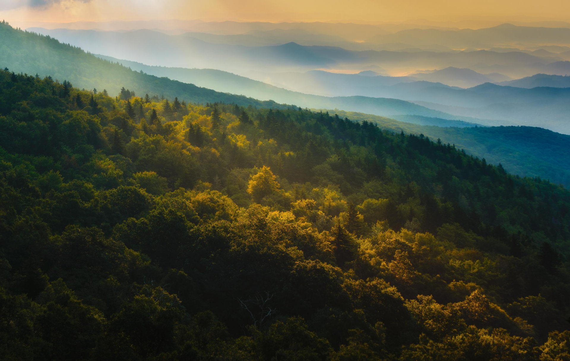 montagnes forêt automne nature panorama aube