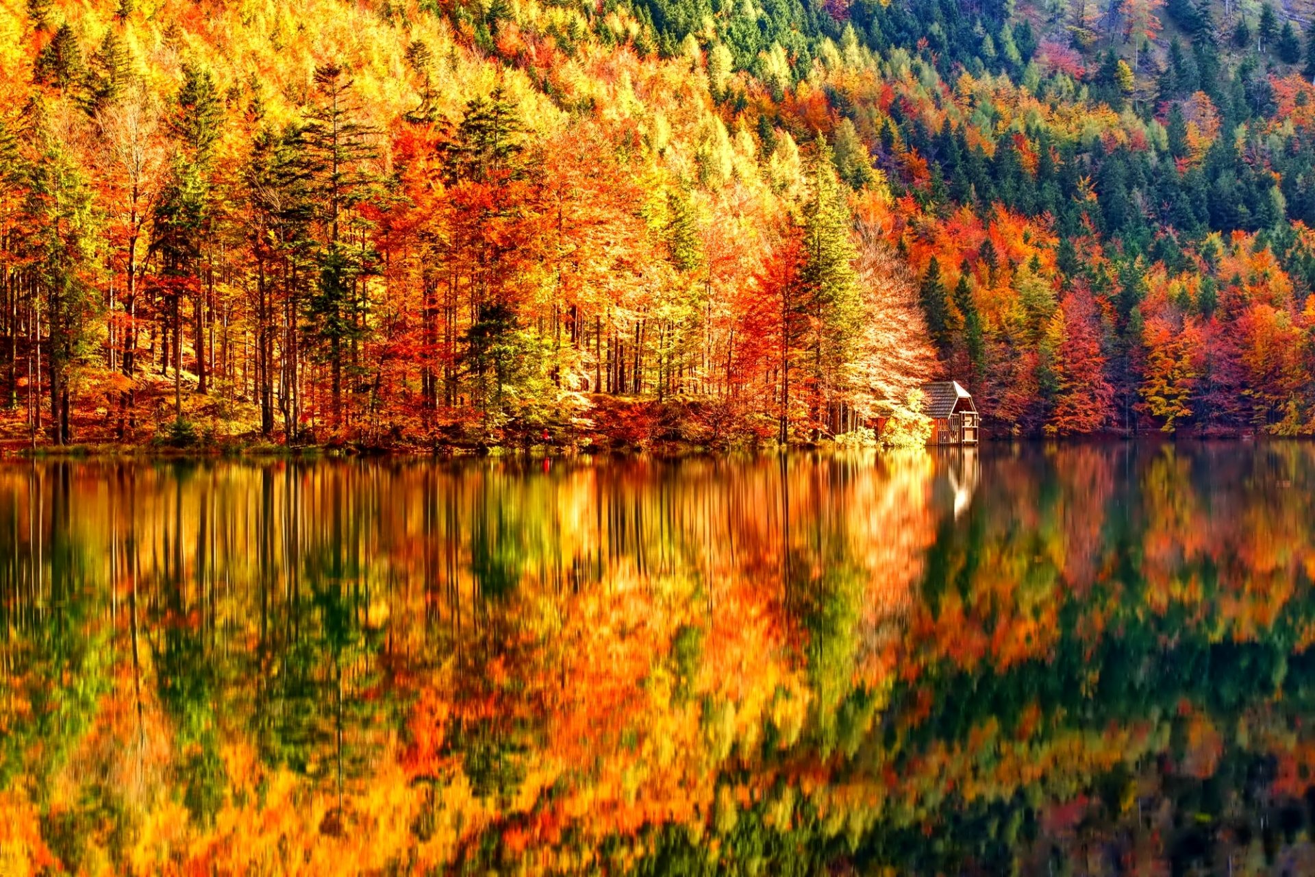 pente forêt lac automne maison arbres