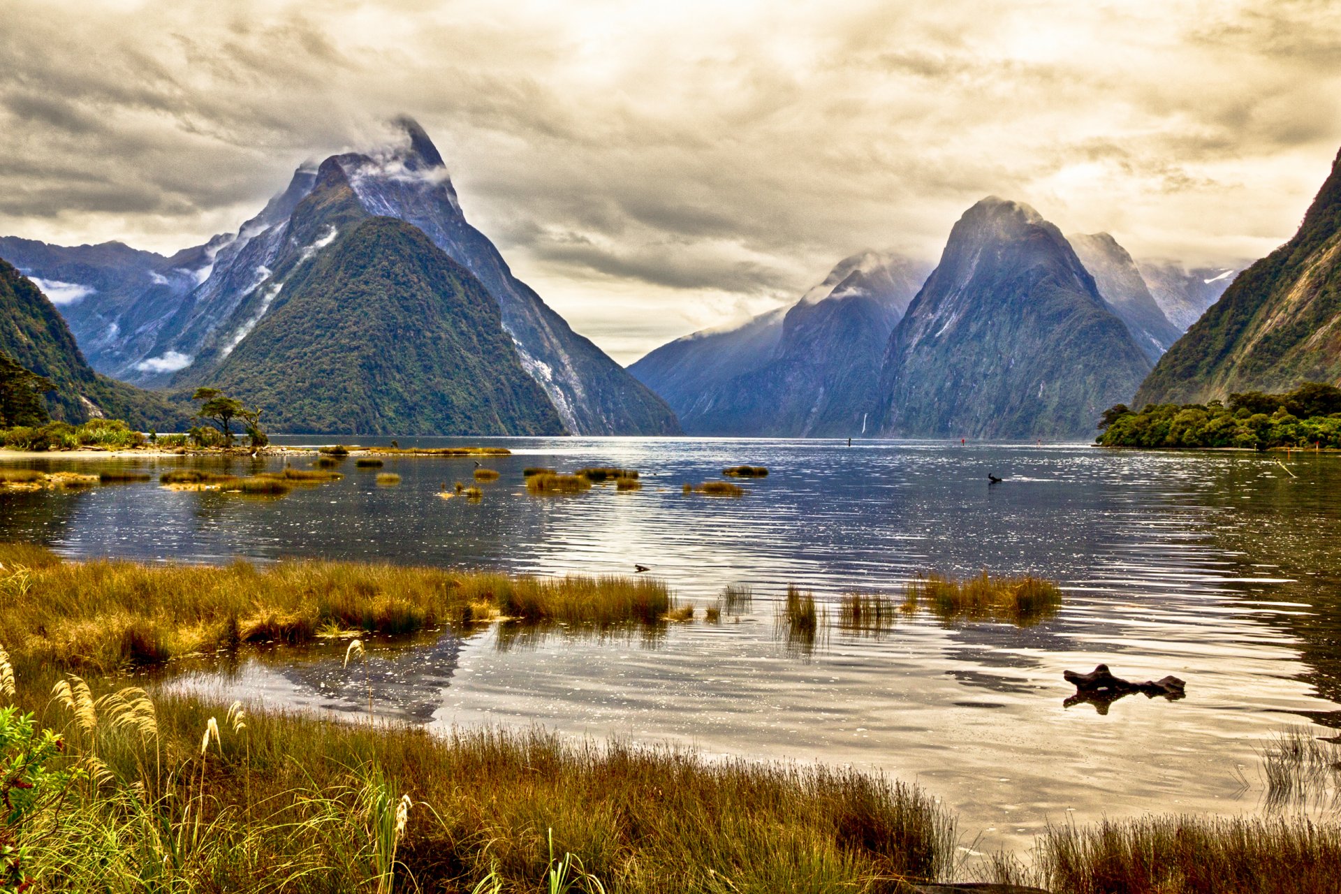 neuseeland himmel wolken berge see gras