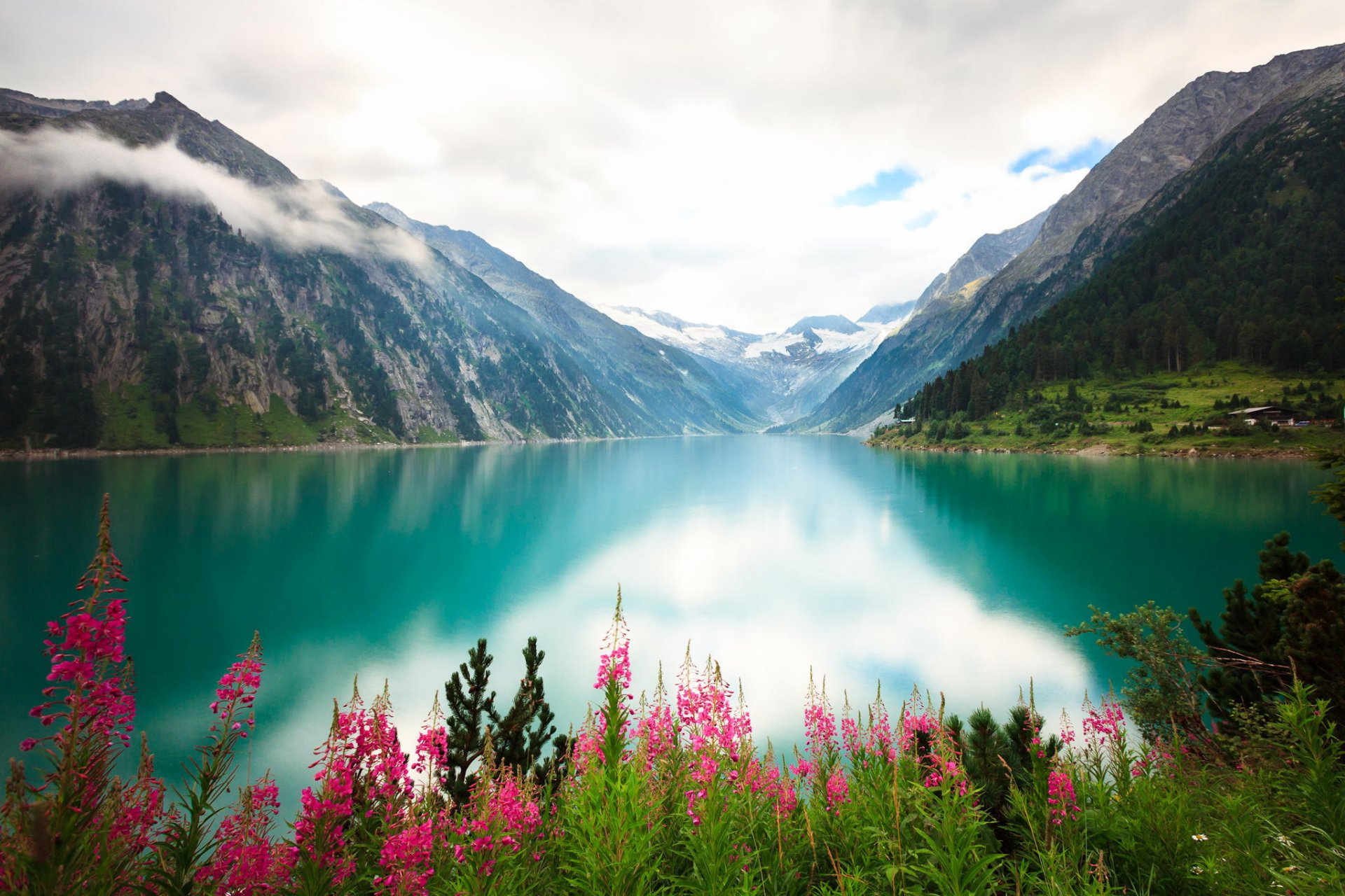 lago orilla flores río montañas nubes