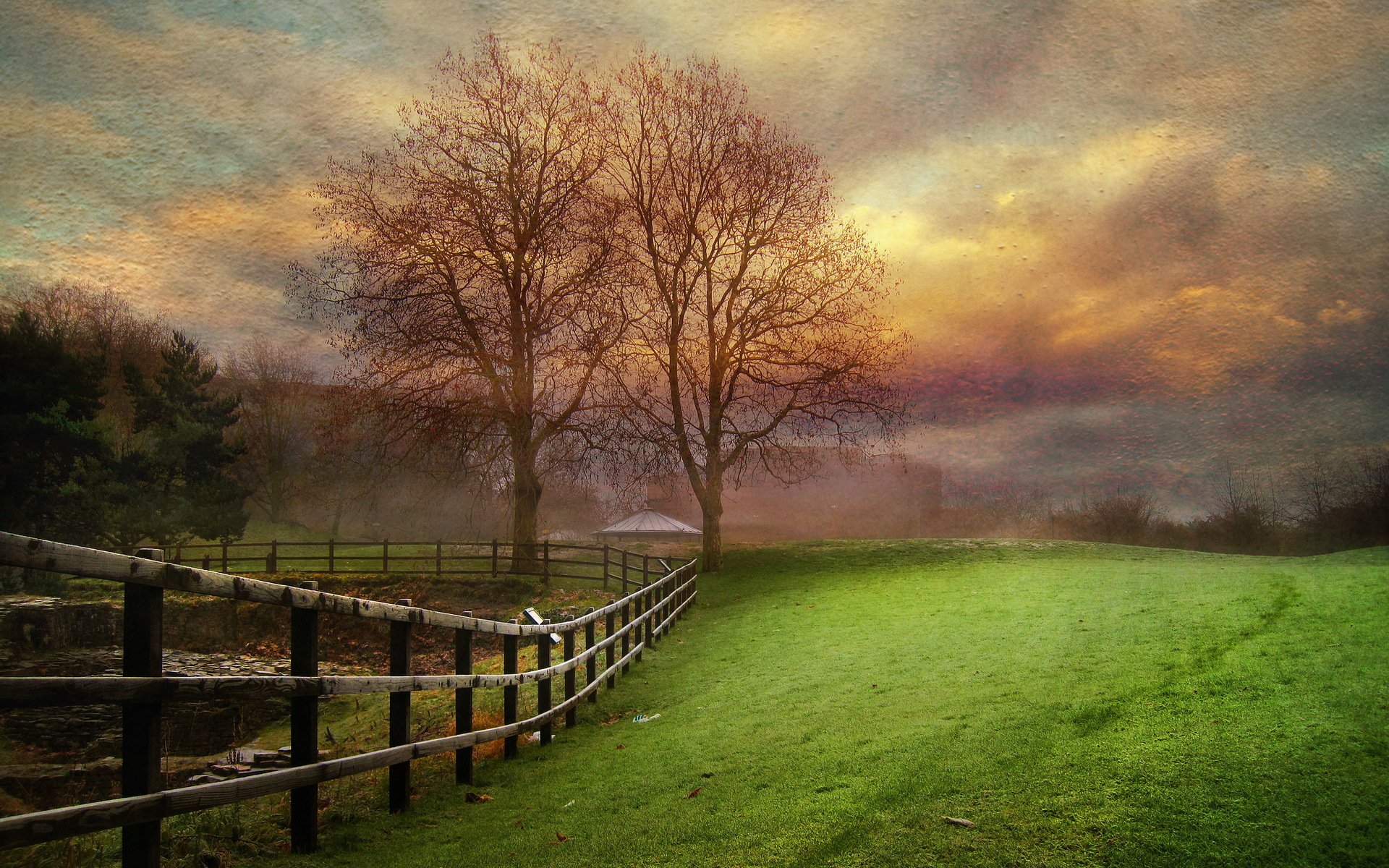 campo recinzione albero paesaggio