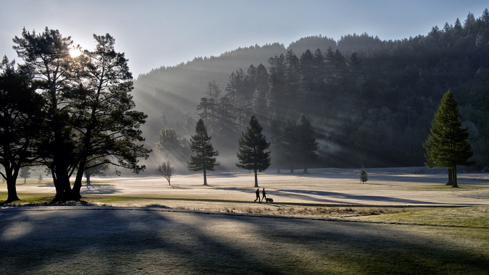 morgen licht park landschaft