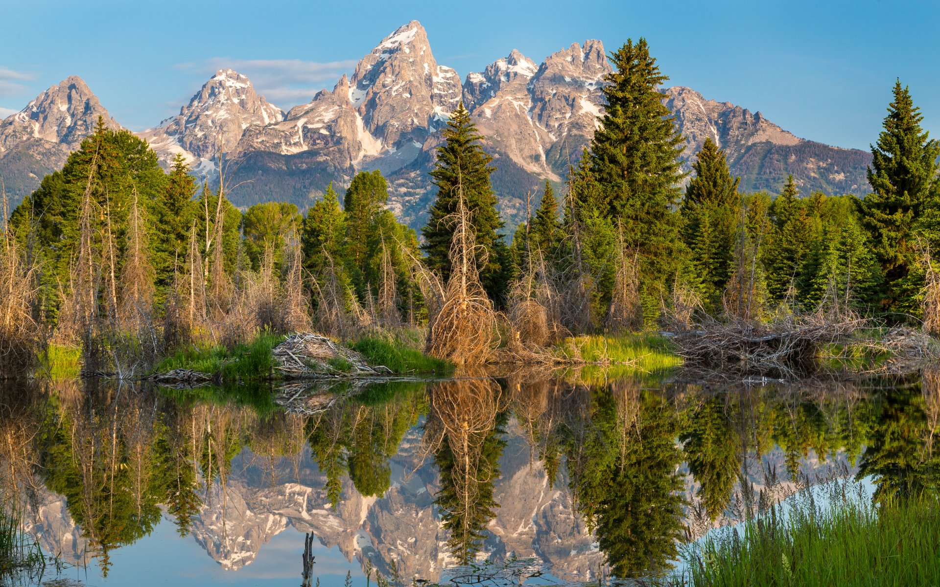 montagnes forêt lac nature