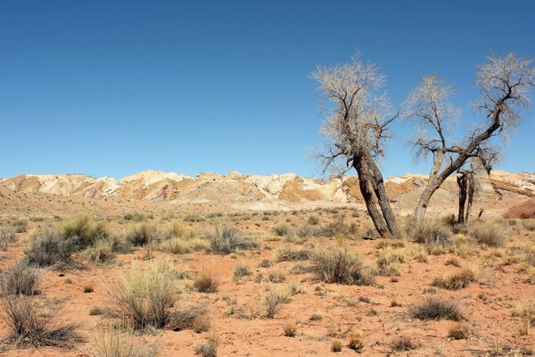 El cielo azul sobre el desierto