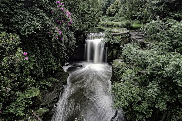 Amazing view of Jesmond Dene Waterfall in England