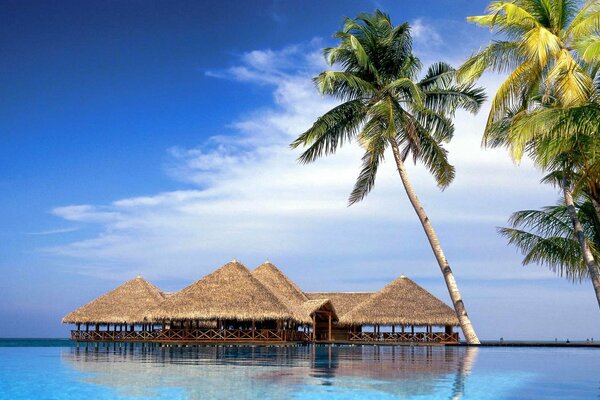 Bungalows in the sea on the island