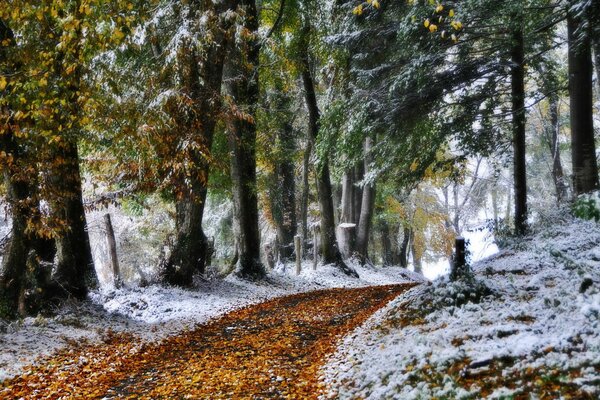 La natura prende la prima neve