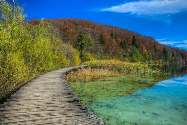 Promenade automnale sur le sentier le long du lac