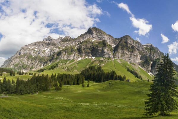 Mountain peaks in green meadows