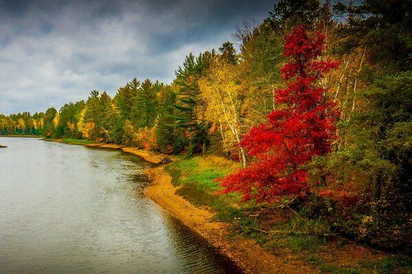 Red yellow and green trees on the river bank