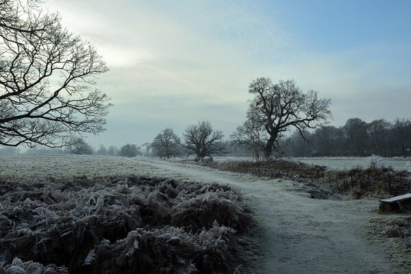 Landschaft der Straße in einem Feld im Frost