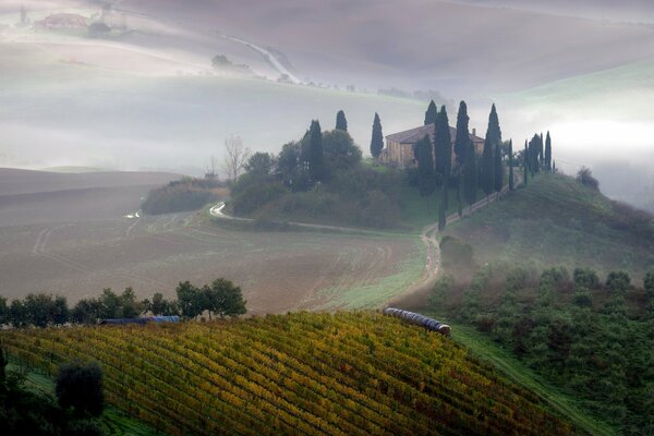 Foggy field in the morning in Tuscany landscape