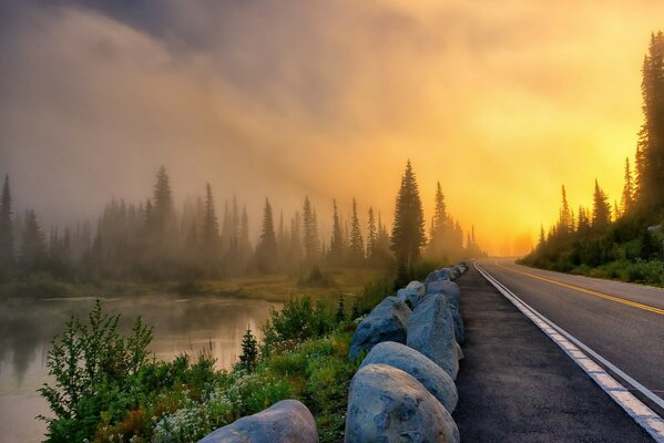 Arbres dans le brouillard au bord du lac