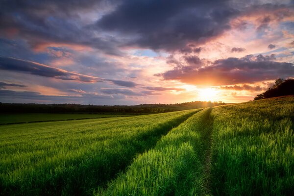 The sky in the fields in spring in May at sunset