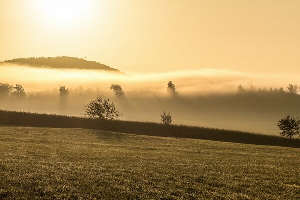 Niebla de la mañana en las montañas y en el campo