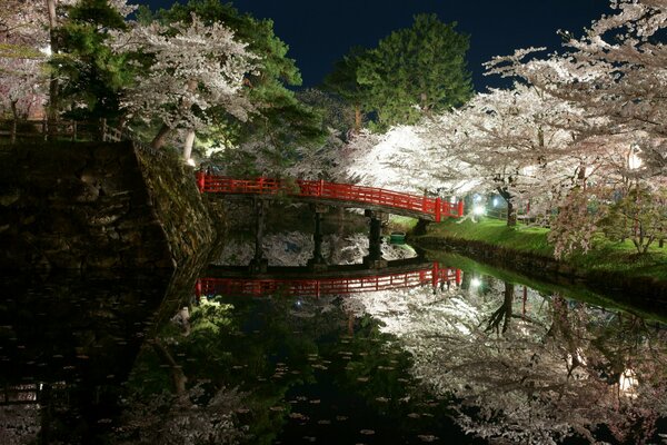 Park am Teich im Frühling in Japan