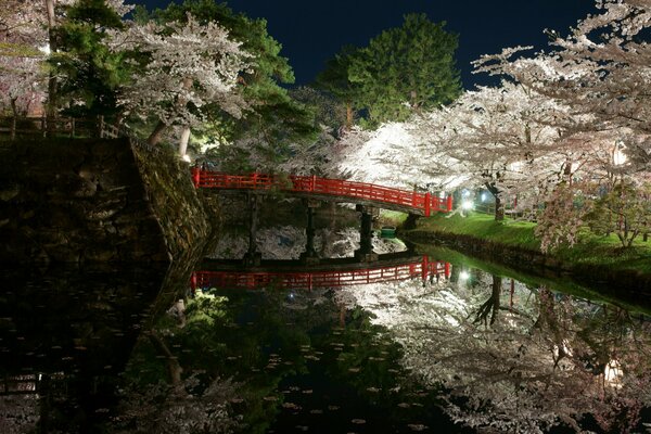 Parque en primavera en Japón