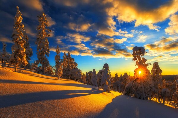 Montaña de invierno con nieve naranja de los rayos del sol