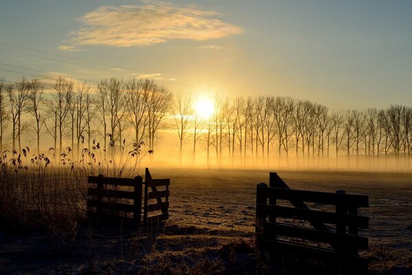 Golden Sun at sunset