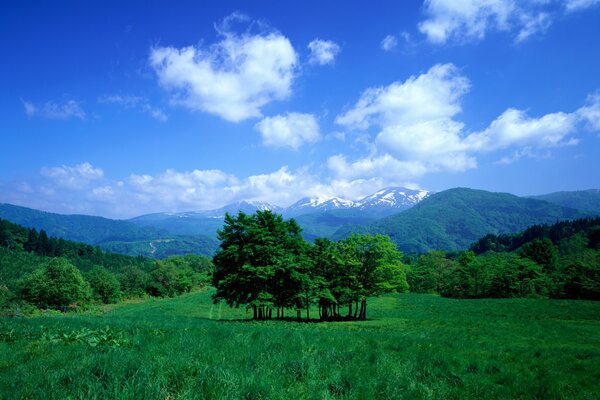 The splendor of colors clouds in the sky, a valley with mountains, meadow, grass and trees