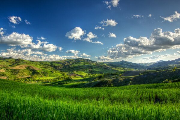 Paysage d été de collines sous les nuages