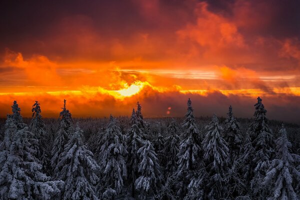 Zimowy zachód Słońca w lesie karmazynowe niebo