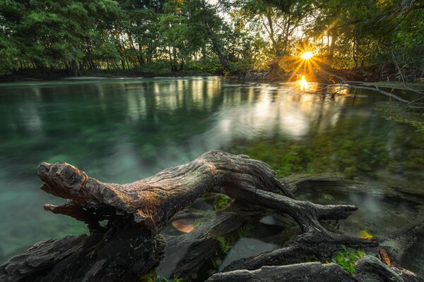 An einem Fluss im Dschungel weckt die Dämmerung alles Lebendige