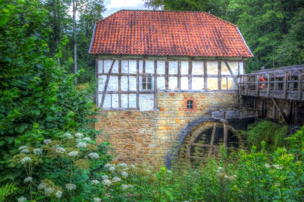 Ein Haus mit einer Wassermühle im Wald