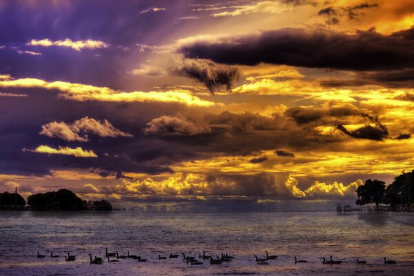 Landscape beautiful sky and lake with birds