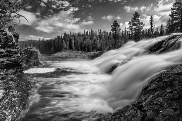 Paisaje monocromático con cascada y bosque