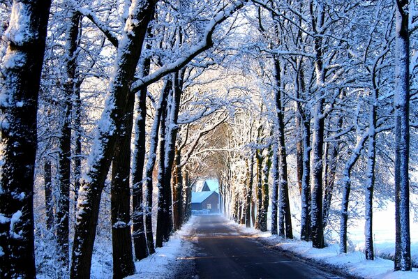 Camino de invierno a la casa cubierta de nieve