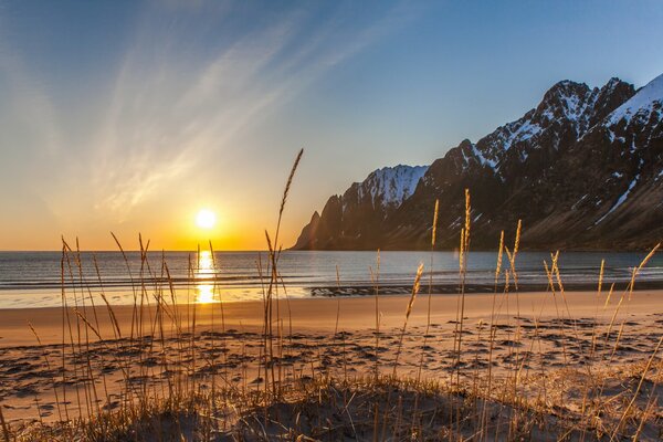 Ersfjordbotn Norwegen Meer Strand