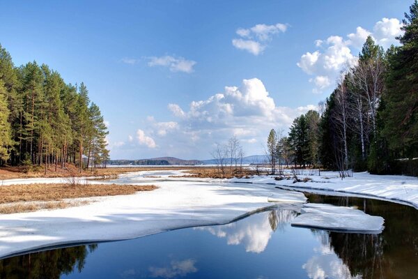 Bewölkter Himmel und Winternatur