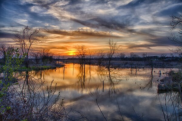 Alberi in primavera al tramonto. Fuoriuscita di riflessione delle Nuvole