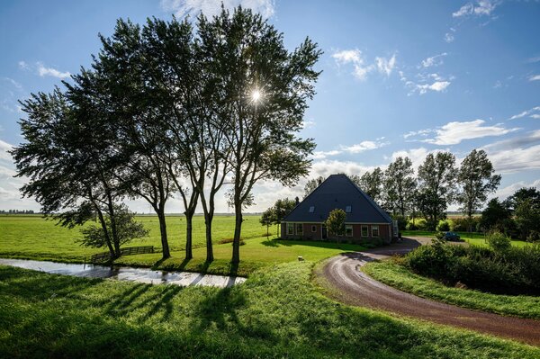 Frühlingslandschaft in Russland. Jekaterinburg. Feld, Bäume, Sonne