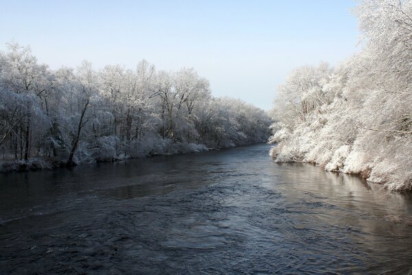 Mit Schnee umwickelte Bäume in der Nähe des Flusses