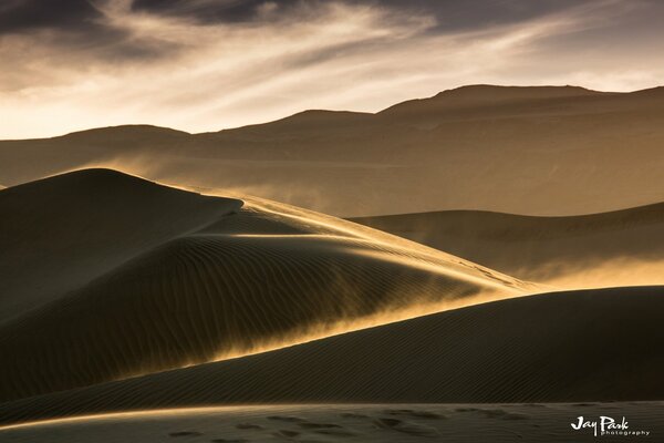 Il vento del deserto solleva la polvere