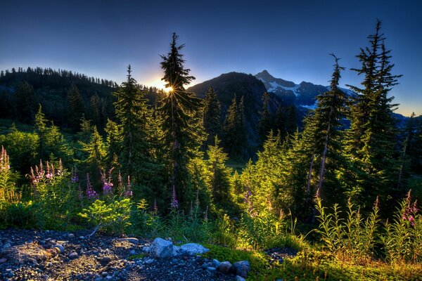 Sunrise mountain landscape