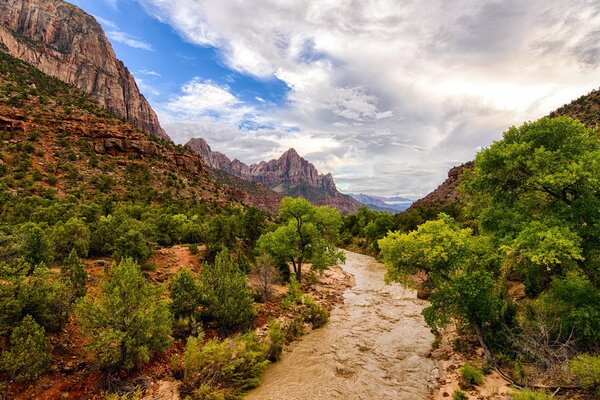 Fluss in den Bergen im Zion National Park