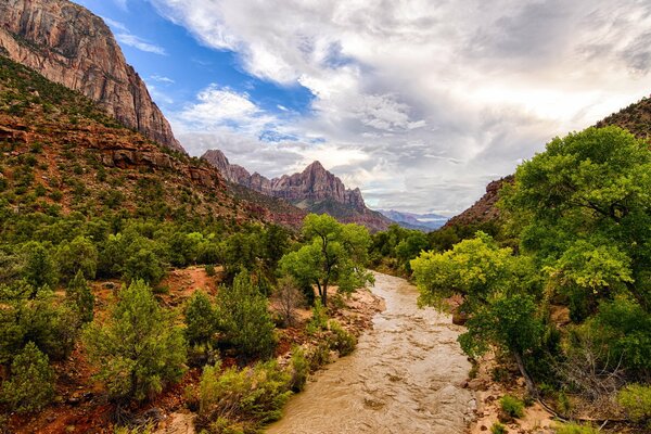 A river in the mountains in Zion National Park