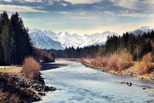 Río bosque entre las montañas