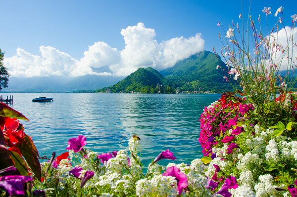 Paisaje marino con flores y montañas