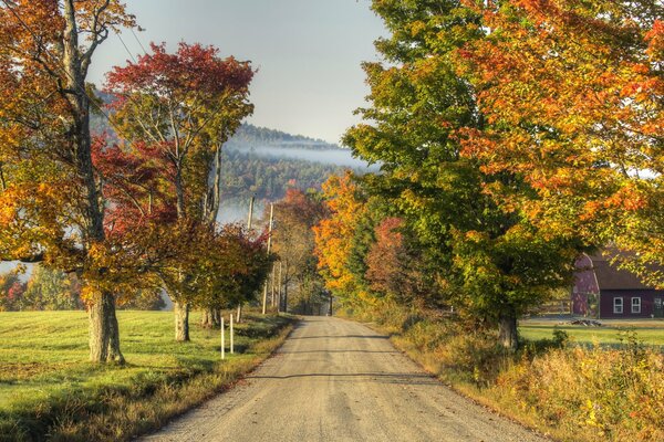 Natura in autunno. Strada nel villaggio