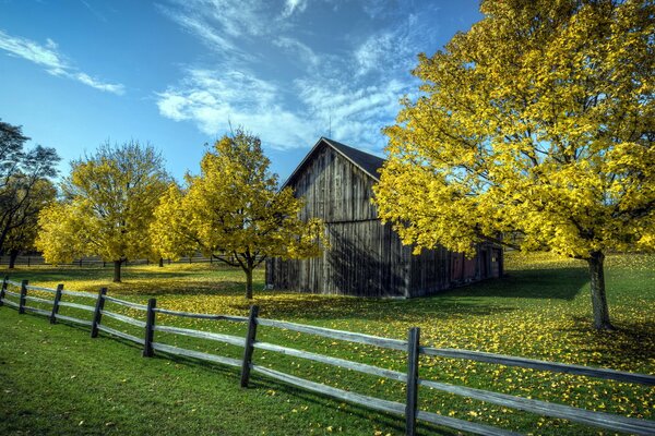 Paysage avec maison en bois, arbres et clôture