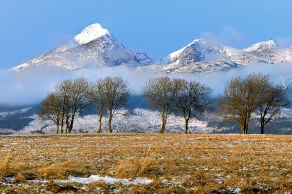 Chaîne de montagnes en hiver en Slovaquie
