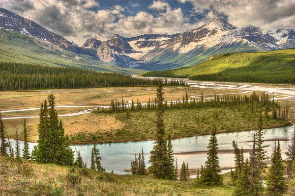 Ein Bergfluss im Banff National Park