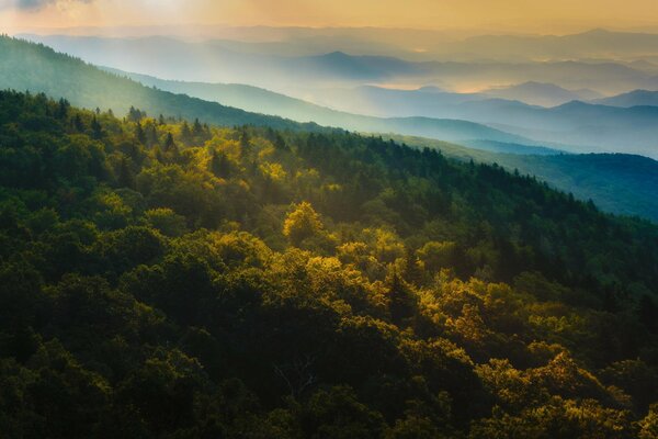 Die Natur. Herbstwald. Sonnenaufgang. Die Berge